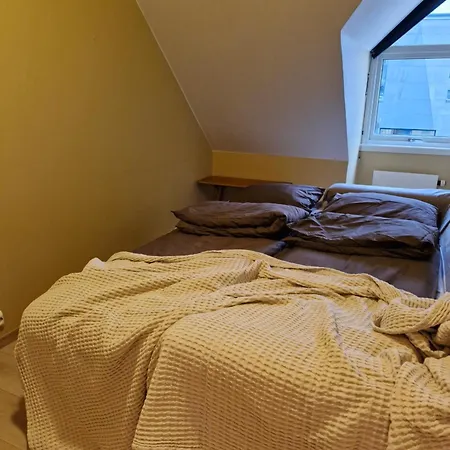 In The Absolute Center Of Apartment